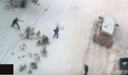 美国民兵爆料视频大全最新,视频大全深度解析