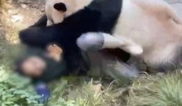 重庆动物园爆料视频,萌宠日常大曝光