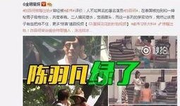 九儿被爆料出轨后续视频,后续视频揭露惊人真相